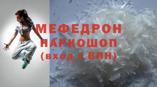сатива Ростов