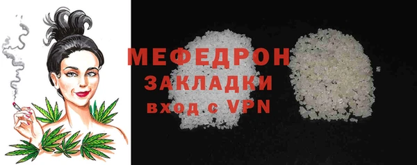 сатива Ростов