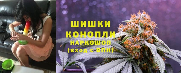 прущие грибы Алексин