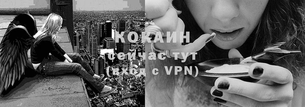 тгк Россошь