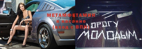 прущие грибы Алексин